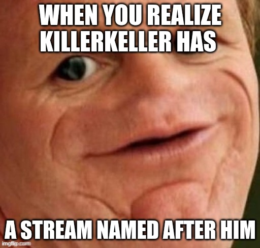 WHEN YOU REALIZE KILLERKELLER HAS; A STREAM NAMED AFTER HIM | image tagged in chef gordon ramsay | made w/ Imgflip meme maker