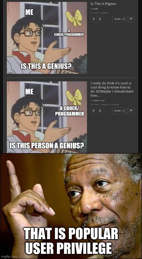 THAT IS POPULAR USER PRIVILEGE | image tagged in this morgan freeman | made w/ Imgflip meme maker