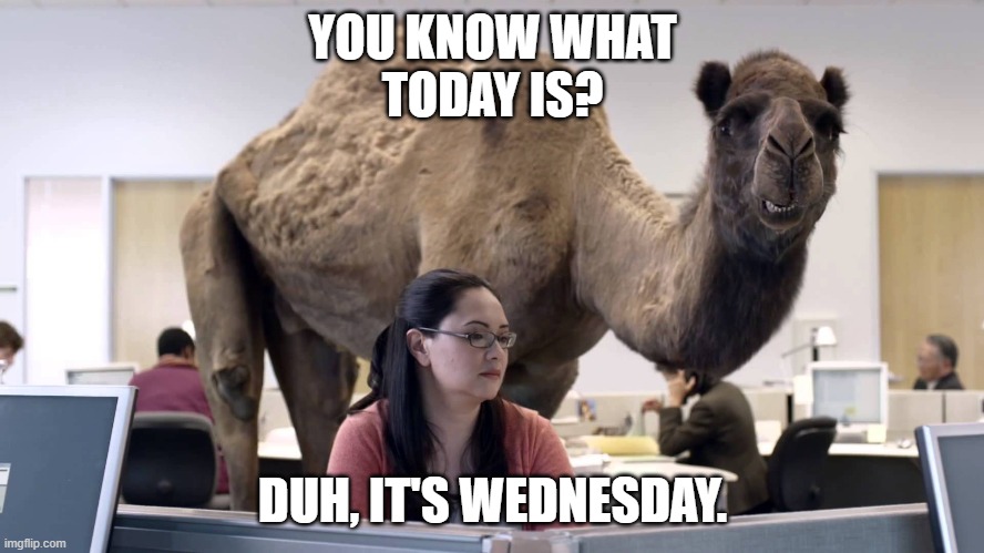 HUMPDAY | YOU KNOW WHAT
TODAY IS? DUH, IT'S WEDNESDAY. | image tagged in humpday | made w/ Imgflip meme maker