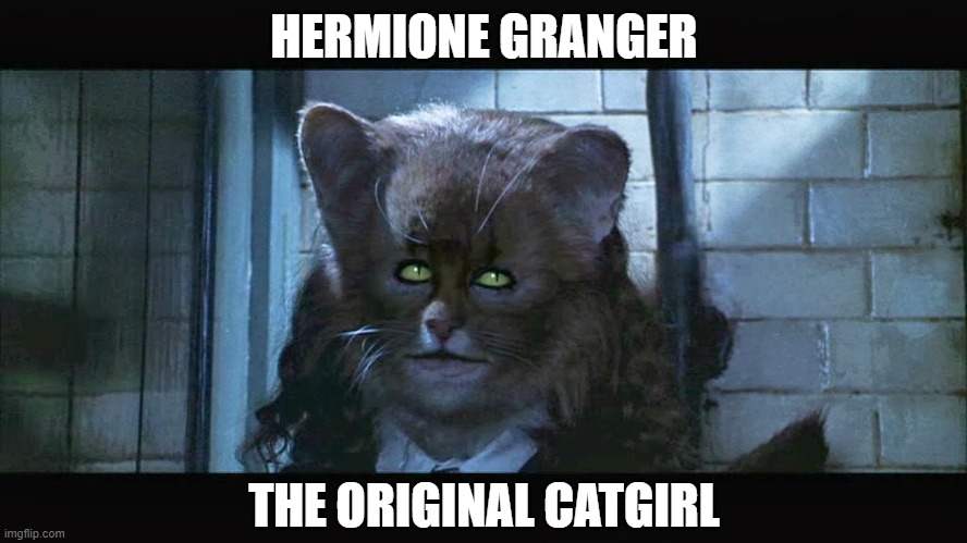 HERMIONE GRANGER; THE ORIGINAL CATGIRL | made w/ Imgflip meme maker