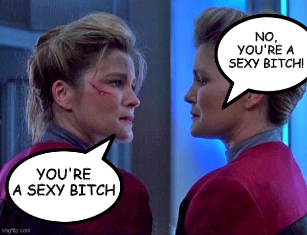 Two's a Kind Captain | NO, YOU'RE A SEXY BITCH! YOU'RE A SEXY BITCH | image tagged in janeway star trek voyager | made w/ Imgflip meme maker