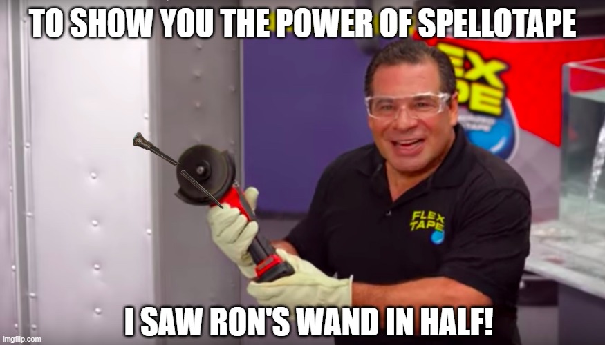 TO SHOW YOU THE POWER OF SPELLOTAPE; I SAW RON'S WAND IN HALF! | made w/ Imgflip meme maker