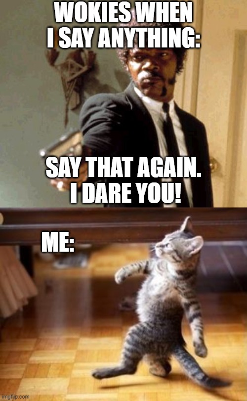 WOKIES WHEN I SAY ANYTHING:; SAY THAT AGAIN.  I DARE YOU! ME: | image tagged in memes,cool cat stroll,say that again i dare you | made w/ Imgflip meme maker