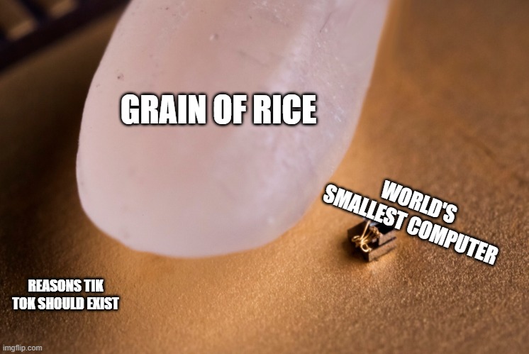 Grain Of Rice | GRAIN OF RICE; WORLD'S SMALLEST COMPUTER; REASONS TIK TOK SHOULD EXIST | image tagged in grain of rice,memes,funny | made w/ Imgflip meme maker