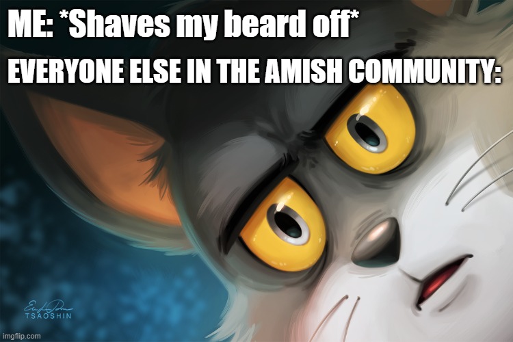 What's Wrong With Grooming Myself? | ME: *Shaves my beard off*; EVERYONE ELSE IN THE AMISH COMMUNITY: | image tagged in unsettled tom stylized,beard,memes,shaving,amish | made w/ Imgflip meme maker