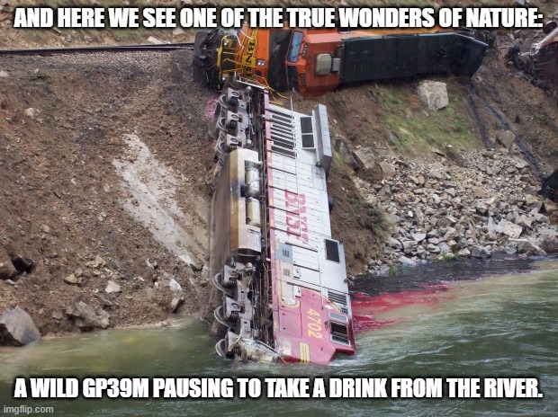 AND HERE WE SEE ONE OF THE TRUE WONDERS OF NATURE:; A WILD GP39M PAUSING TO TAKE A DRINK FROM THE RIVER. | image tagged in funny,memes,train,trains,nature,river | made w/ Imgflip meme maker
