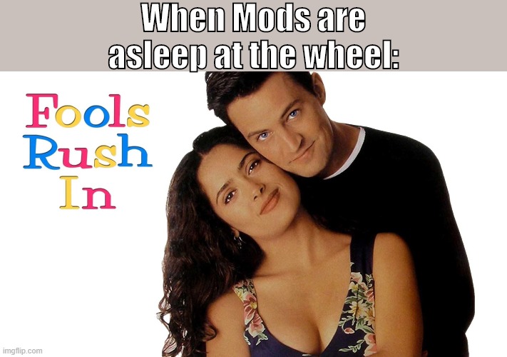 Stream terms -- and site terms -- mean nothing without Mods present and willing to enforce them. | When Mods are asleep at the wheel: | image tagged in fools rush in,free speech,it's free real estate,imgflip mods,mods,meme stream | made w/ Imgflip meme maker