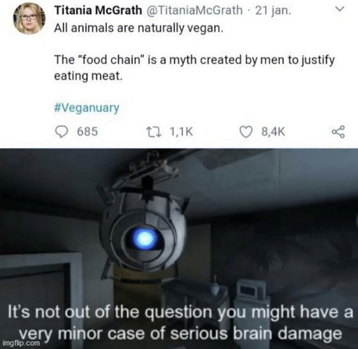 It's not out of the question, that you might have a VERY minor case, of serious brain damage. | image tagged in minor case of serious brain damage,wheatley,portal,portal 2,twitter,delusional | made w/ Imgflip meme maker