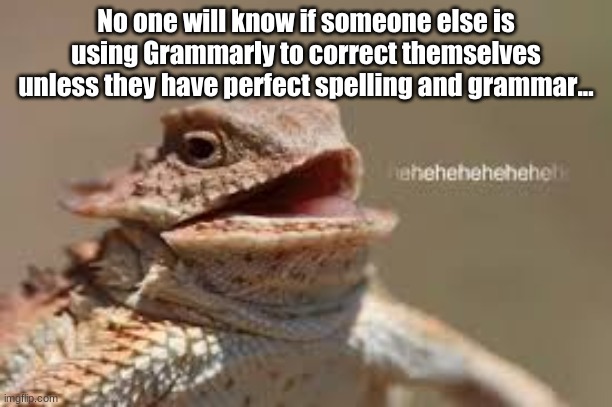 Me? Use Grammarly? I would never... | No one will know if someone else is using Grammarly to correct themselves unless they have perfect spelling and grammar... | image tagged in heheheheh dragon | made w/ Imgflip meme maker