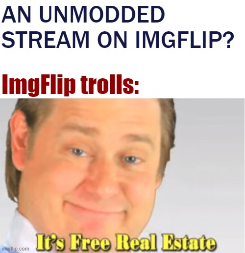 It's free real estate | AN UNMODDED STREAM ON IMGFLIP? ImgFlip trolls: | image tagged in it's free real estate,its free real estate,meme stream,imgflip trolls,imgflip mods,meanwhile on imgflip | made w/ Imgflip meme maker