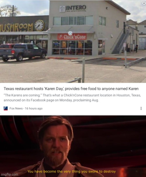 That's Just Going To Spoil The Karens Even More | image tagged in you have become the very thing you swore to destroy | made w/ Imgflip meme maker