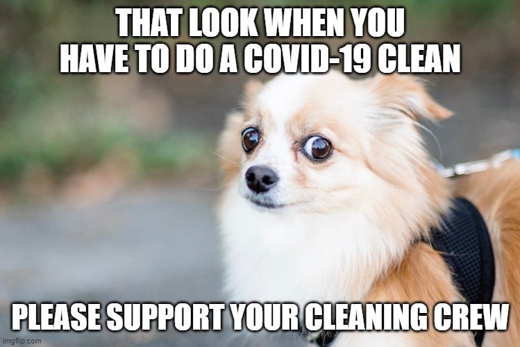 THAT LOOK WHEN YOU HAVE TO DO A COVID-19 CLEAN; PLEASE SUPPORT YOUR CLEANING CREW | made w/ Imgflip meme maker