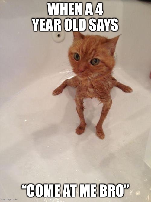 Come at me bro | WHEN A 4 YEAR OLD SAYS; “COME AT ME BRO” | image tagged in cat,funny | made w/ Imgflip meme maker