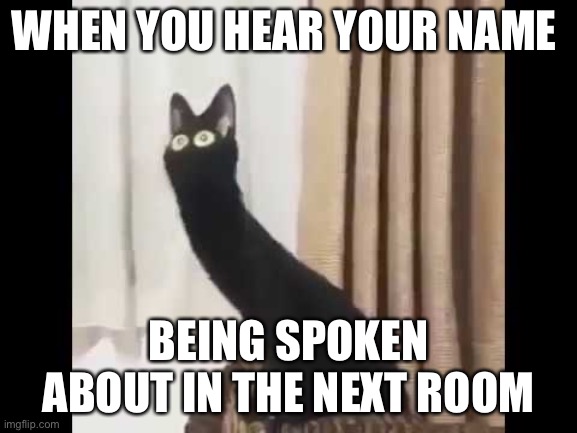 Cat | WHEN YOU HEAR YOUR NAME; BEING SPOKEN ABOUT IN THE NEXT ROOM | image tagged in cat | made w/ Imgflip meme maker