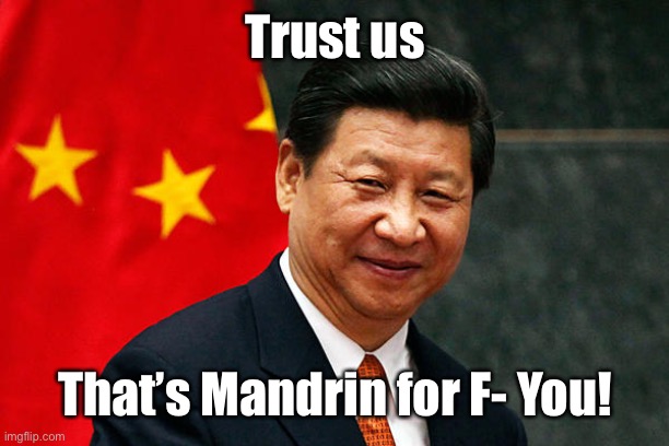 Xi Jinping | Trust us That’s Mandrin for F- You! | image tagged in xi jinping | made w/ Imgflip meme maker
