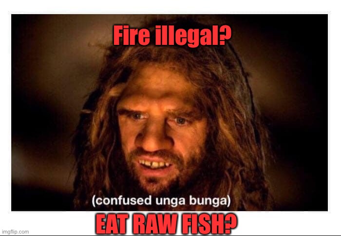 Confused Cave Man | Fire illegal? EAT RAW FISH? | image tagged in confused cave man | made w/ Imgflip meme maker