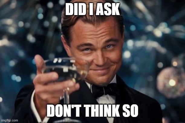 Leonardo Dicaprio Cheers Meme | DID I ASK; DON'T THINK SO | image tagged in memes,leonardo dicaprio cheers | made w/ Imgflip meme maker