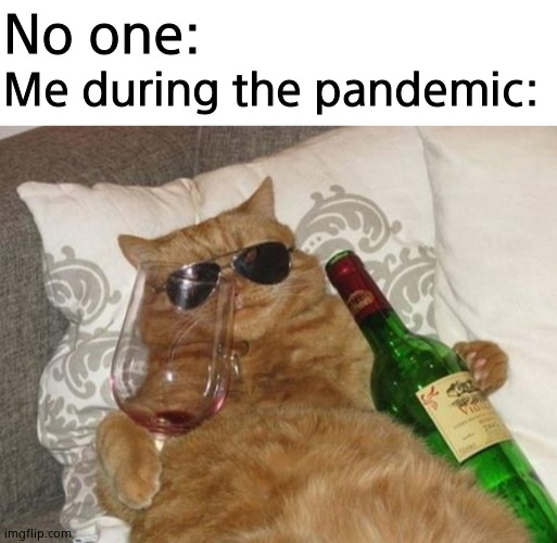 Ye | Me during the pandemic:; No one: | image tagged in blank white template,funny cat birthday,cool | made w/ Imgflip meme maker