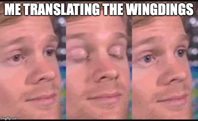 Blinking guy | ME TRANSLATING THE WINGDINGS | image tagged in blinking guy | made w/ Imgflip meme maker