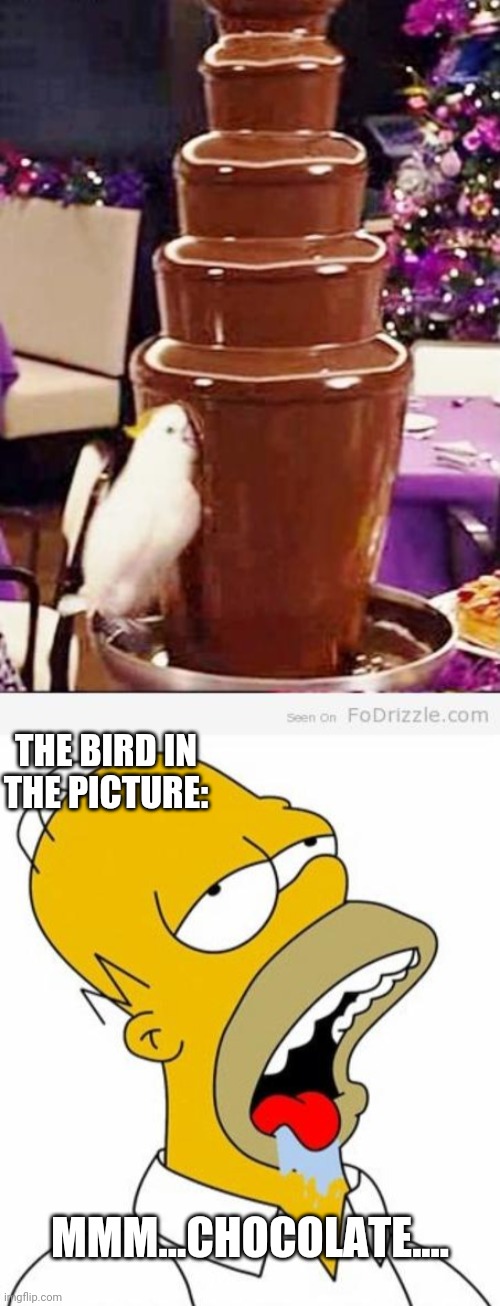 THE BIRD IN THE PICTURE:; MMM...CHOCOLATE.... | image tagged in homer simpson mmm,chocolate fountain | made w/ Imgflip meme maker