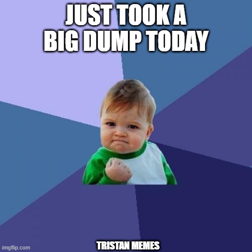 Success Kid Meme | JUST TOOK A BIG DUMP TODAY; TRISTAN MEMES | image tagged in memes,success kid | made w/ Imgflip meme maker