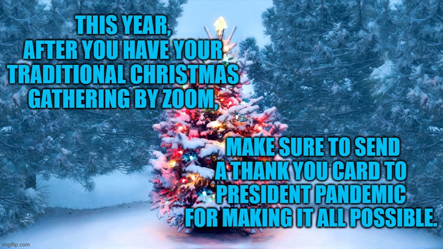 A President Pandemic Christmas | THIS YEAR, AFTER YOU HAVE YOUR TRADITIONAL CHRISTMAS GATHERING BY ZOOM, MAKE SURE TO SEND A THANK YOU CARD TO PRESIDENT PANDEMIC FOR MAKING IT ALL POSSIBLE. | image tagged in politics | made w/ Imgflip meme maker