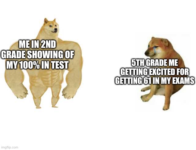 Free meme | ME IN 2ND GRADE SHOWING OF MY 100% IN TEST; 5TH GRADE ME GETTING EXCITED FOR GETTING 61 IN MY EXAMS | image tagged in strong doge weak doge | made w/ Imgflip meme maker