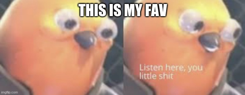 Listen here you little shit bird | THIS IS MY FAV | image tagged in listen here you little shit bird | made w/ Imgflip meme maker