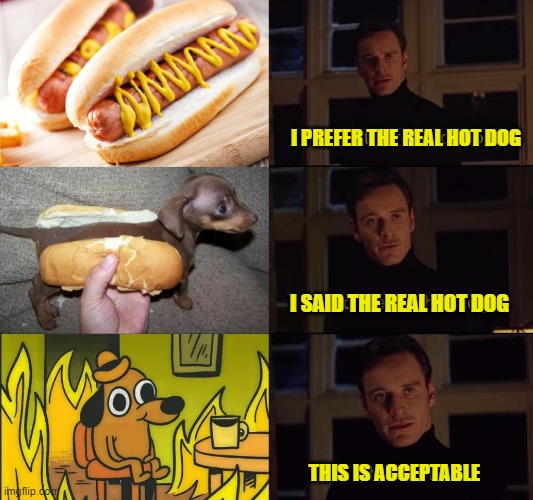 hot dogs | I PREFER THE REAL HOT DOG; I SAID THE REAL HOT DOG; THIS IS ACCEPTABLE | image tagged in hot dog | made w/ Imgflip meme maker