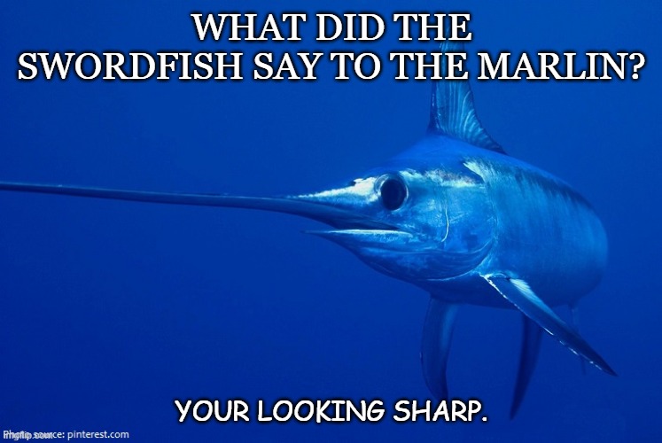 Daily Bad Dad Joke Aug 19 2020 | WHAT DID THE SWORDFISH SAY TO THE MARLIN? YOUR LOOKING SHARP. | image tagged in sword | made w/ Imgflip meme maker