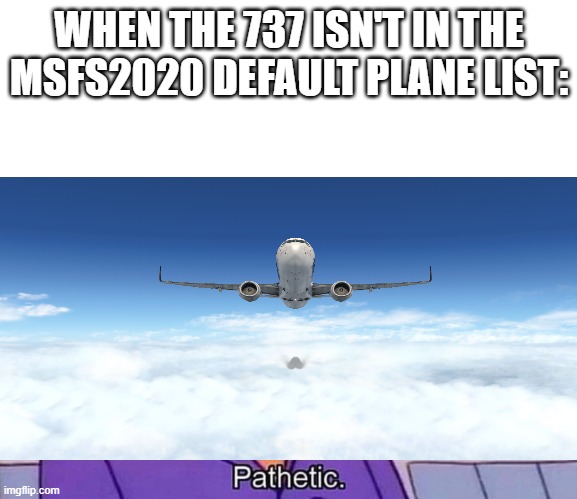 737 in msfs | WHEN THE 737 ISN'T IN THE MSFS2020 DEFAULT PLANE LIST: | image tagged in msfs2020,flight sim | made w/ Imgflip meme maker