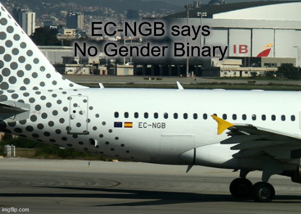 NGB stands for No Gender Binary | EC-NGB says
No Gender Binary | made w/ Imgflip meme maker