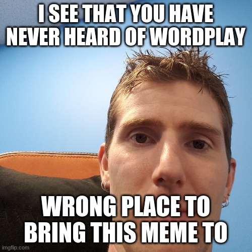 Linus Face Meme | I SEE THAT YOU HAVE NEVER HEARD OF WORDPLAY WRONG PLACE TO BRING THIS MEME TO | image tagged in linus face meme | made w/ Imgflip meme maker