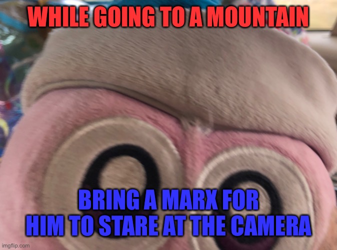 Marx to Mountain | WHILE GOING TO A MOUNTAIN; BRING A MARX FOR HIM TO STARE AT THE CAMERA | image tagged in staring marx plush | made w/ Imgflip meme maker