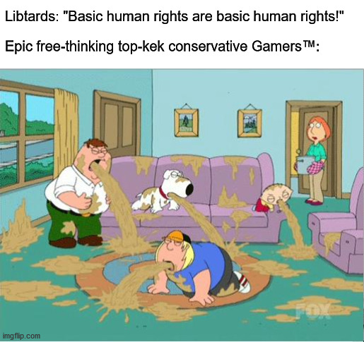 Basic human rights are cringe. Hierarchy is epic. | Libtards: "Basic human rights are basic human rights!"; Epic free-thinking top-kek conservative Gamers™: | image tagged in family guy puke,civil rights,gamers,kek,conservatives,libtards | made w/ Imgflip meme maker