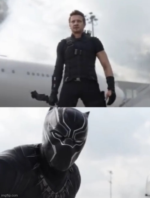 Black Panther I don’t care Blank Meme Template