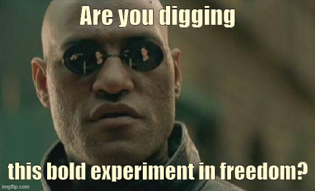 Matrix Morpheus Meme | Are you digging this bold experiment in freedom? | image tagged in memes,matrix morpheus | made w/ Imgflip meme maker