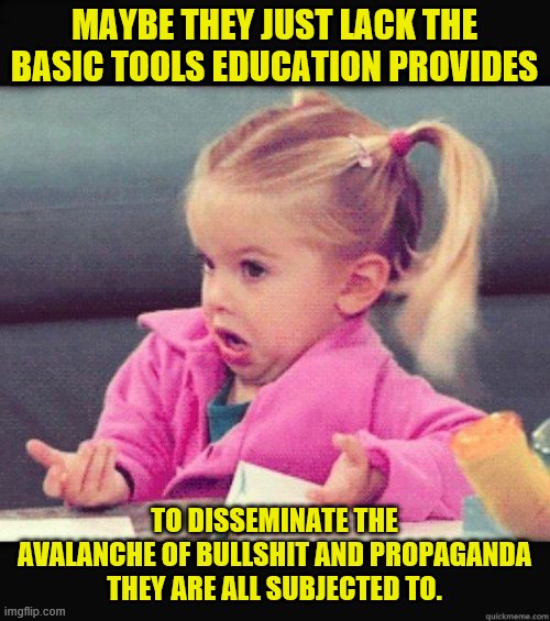 Dafuq Girl | MAYBE THEY JUST LACK THE BASIC TOOLS EDUCATION PROVIDES TO DISSEMINATE THE AVALANCHE OF BULLSHIT AND PROPAGANDA THEY ARE ALL SUBJECTED TO. | image tagged in dafuq girl | made w/ Imgflip meme maker