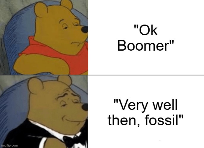 Tuxedo Winnie The Pooh Meme | "Ok Boomer"; "Very well then, fossil" | image tagged in memes,tuxedo winnie the pooh | made w/ Imgflip meme maker