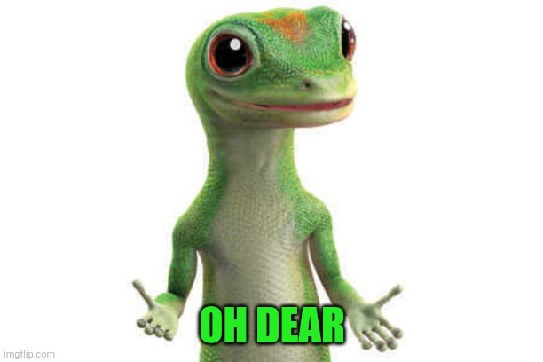 Geico Gecko | OH DEAR | image tagged in geico gecko | made w/ Imgflip meme maker