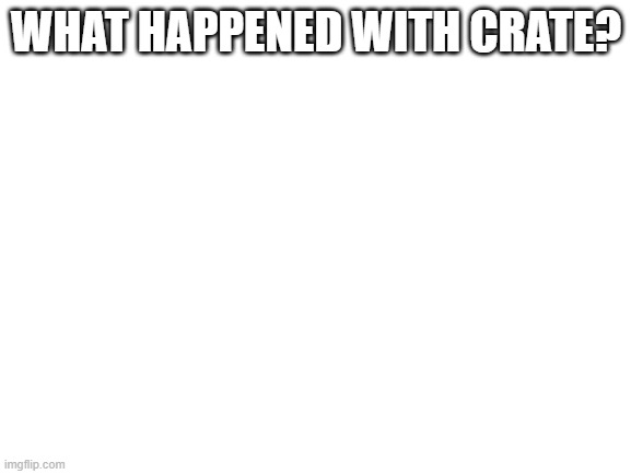 Blank White Template | WHAT HAPPENED WITH CRATE? | image tagged in blank white template | made w/ Imgflip meme maker