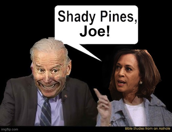 Shady Pines, Jo! | Joe! | image tagged in joe biden,kamala harris,election 2020,memes,funny memes,golden girls | made w/ Imgflip meme maker