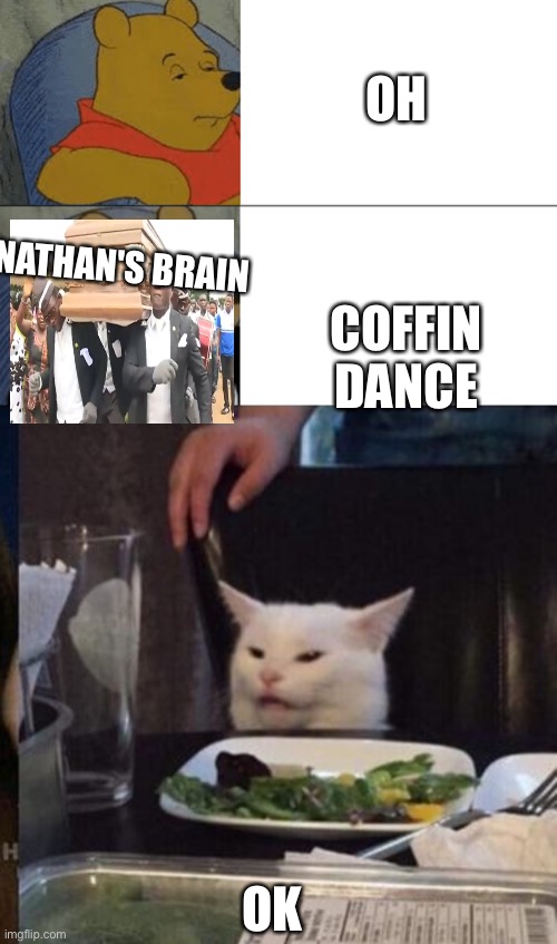 Mmmm | OH; COFFIN DANCE; NATHAN'S BRAIN; OK | image tagged in memes,tuxedo winnie the pooh,woman yelling at cat | made w/ Imgflip meme maker