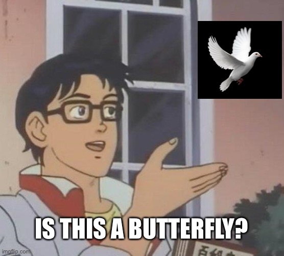 idek | IS THIS A BUTTERFLY? | image tagged in memes,is this a pigeon | made w/ Imgflip meme maker