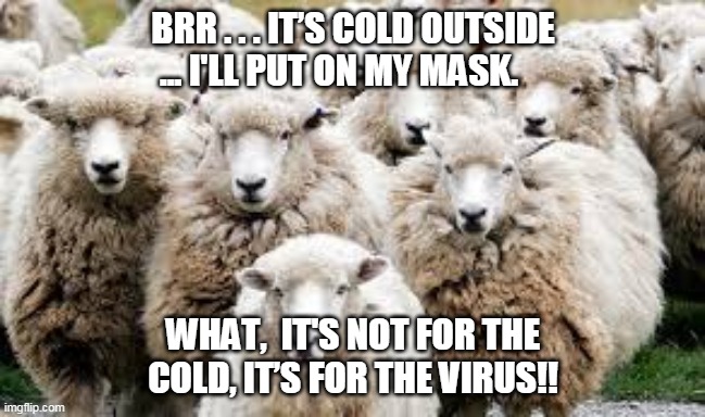 BRR . . . IT’S COLD OUTSIDE ... I'LL PUT ON MY MASK. WHAT,  IT'S NOT FOR THE COLD, IT’S FOR THE VIRUS!! | image tagged in itsy bitsy cold | made w/ Imgflip meme maker