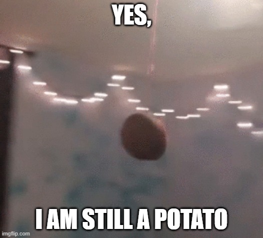 Yes, I am still a potato | YES, I AM STILL A POTATO | image tagged in a potato flew around my room before you came | made w/ Imgflip meme maker