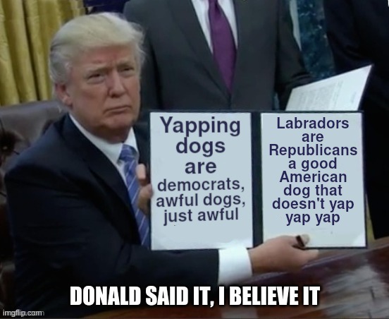 Yapping Dogs Are Awful | image tagged in dogs,yapping dogs,labradors,trump,legislation | made w/ Imgflip meme maker