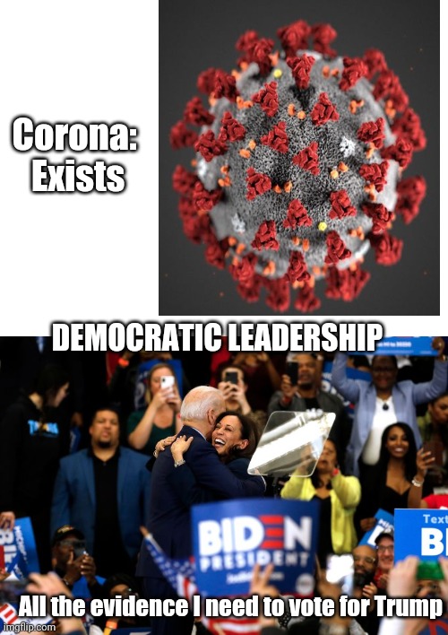 Masks people... Masks! | Corona: 

Exists; DEMOCRATIC LEADERSHIP; All the evidence I need to vote for Trump | image tagged in blank white template | made w/ Imgflip meme maker