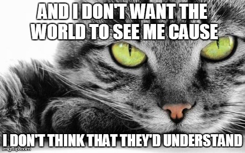 AND I DON'T WANT THE WORLD TO SEE ME CAUSE I DON'T THINK THAT THEY'D UNDERSTAND | image tagged in iris | made w/ Imgflip meme maker