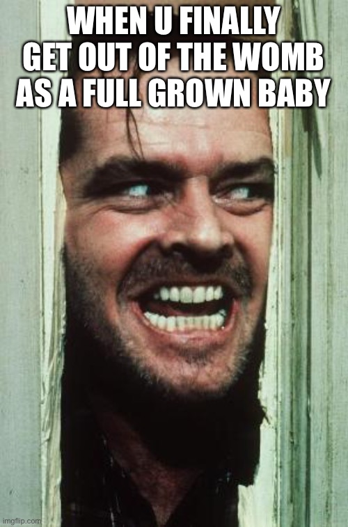 FRESH AIR... AAAHHHH | WHEN U FINALLY GET OUT OF THE WOMB AS A FULL GROWN BABY | image tagged in memes,here's johnny | made w/ Imgflip meme maker